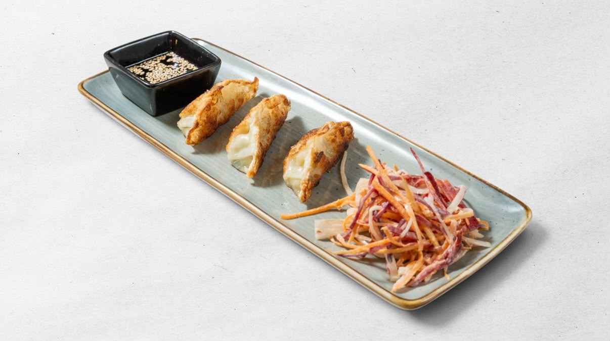 Gyoza kuřecí/vepřová